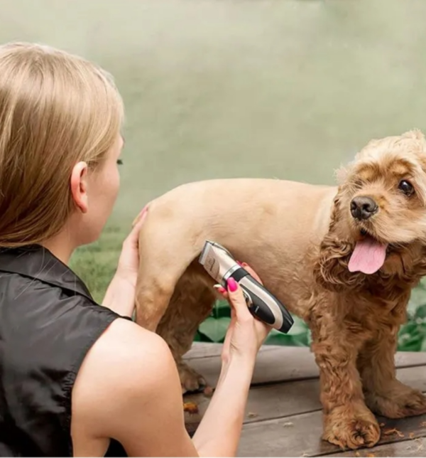 KIT CORTADORA DE PELO PARA MASCOTA - Imagen 4